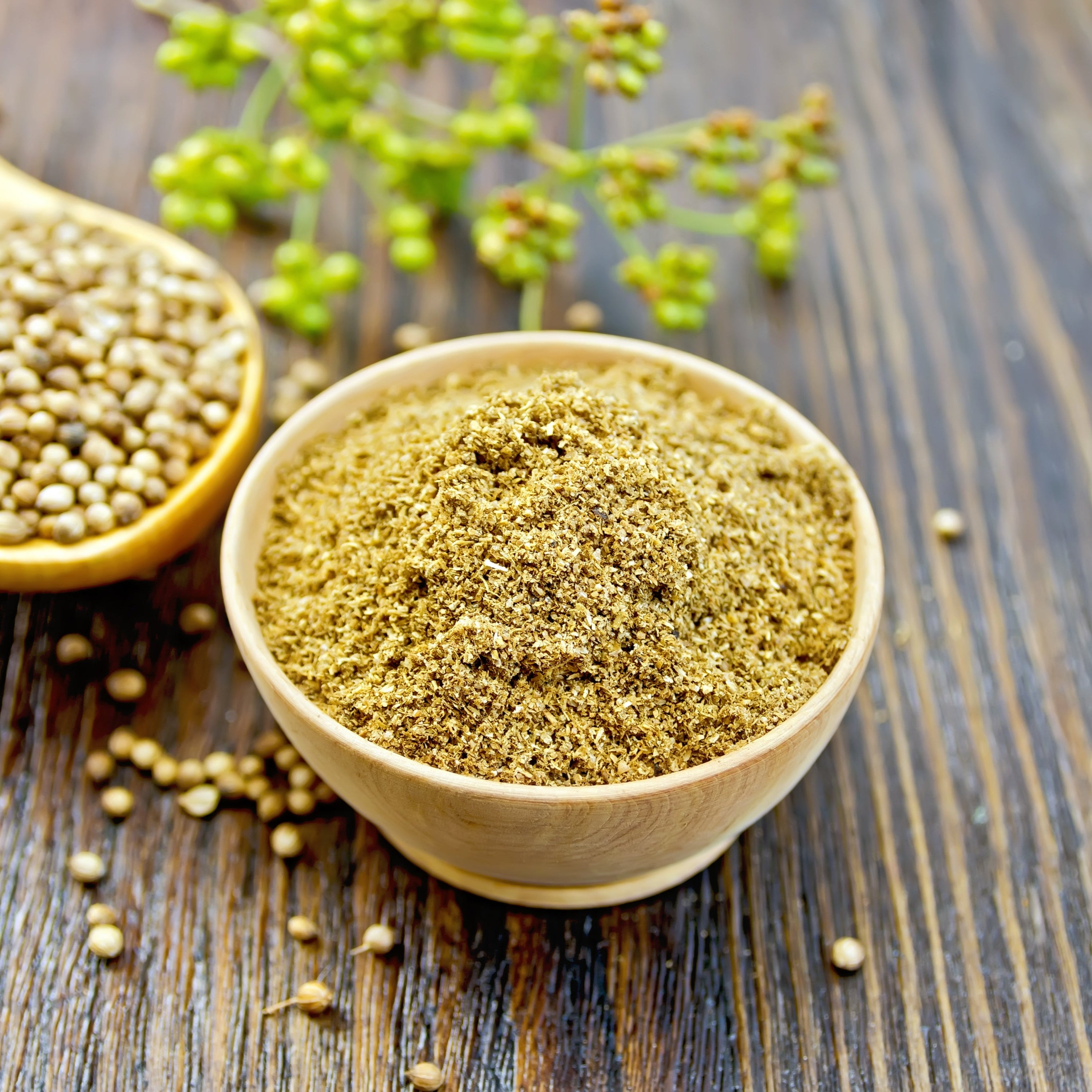 Coriander Powder