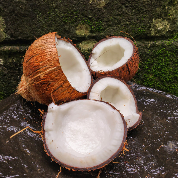 Coconut