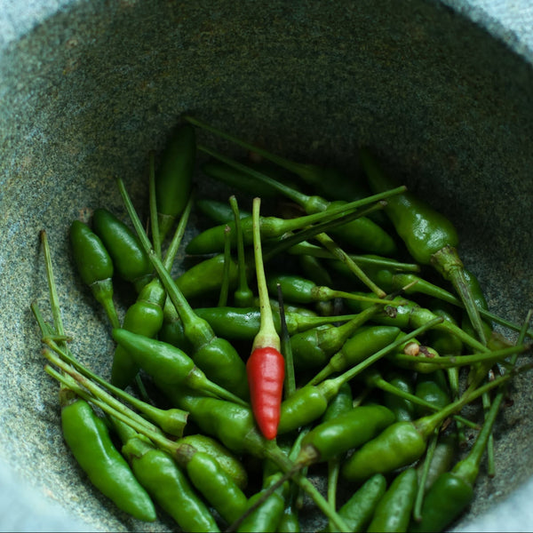 Bird's Eye Chilli (Kanthari Chilli)