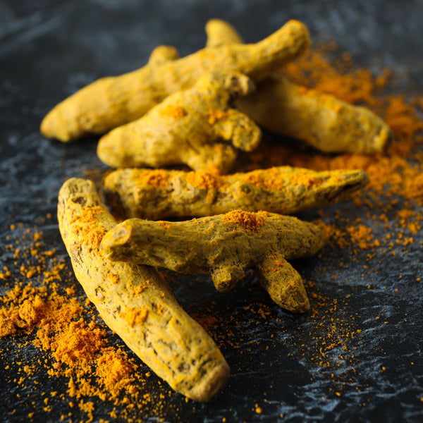 Fresh Roots Raw Turmeric